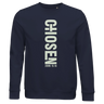 French Navy